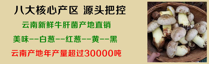 新鮮美味牛肝菌價格