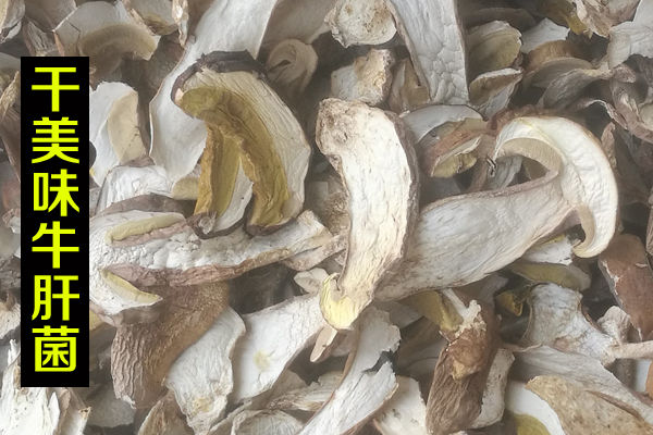 干牛肝菌價格-野生白黃黑紅乳干片牛肝菌多少錢一斤