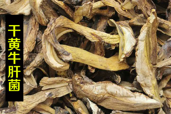 干黃牛肝菌價(jià)格