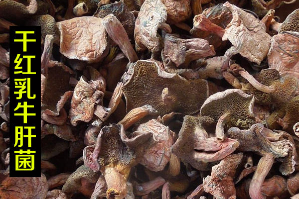 干紅乳牛肝菌價(jià)格