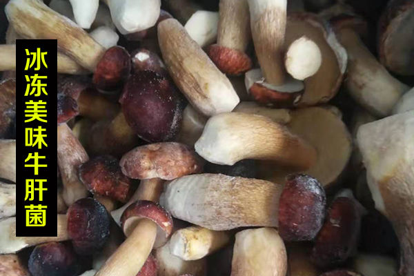 冰凍牛肝菌價格-速凍黑白黃紅乳牛肝菌多少錢一斤