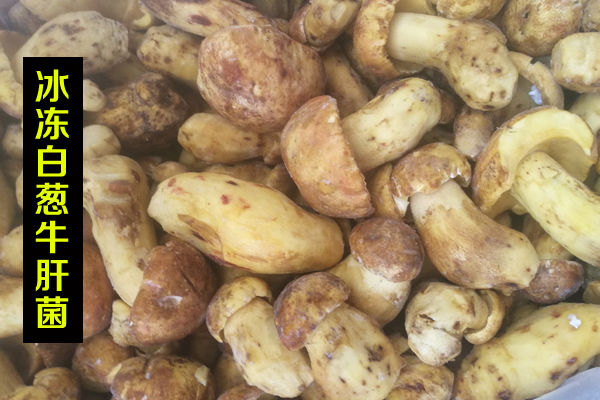 冰凍白蔥牛肝菌價格
