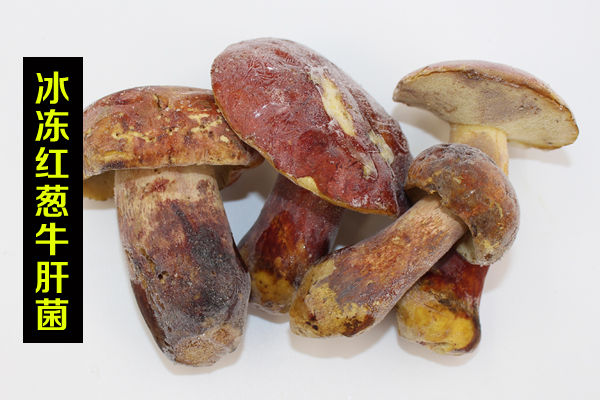 冰凍紅蔥牛肝菌價格