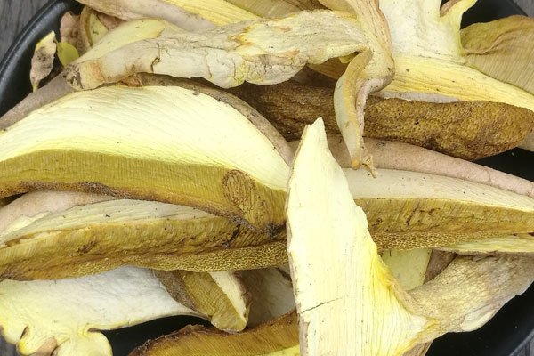 干牛肝菌的保存方法