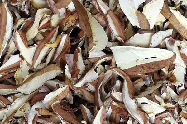 干貨牛肝菌發(fā)霉了還能吃嗎