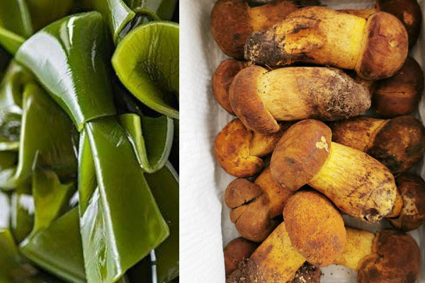 牛肝菌可以和海帶一起吃嗎，牛肝菌燉雞湯的注意事項(xiàng)