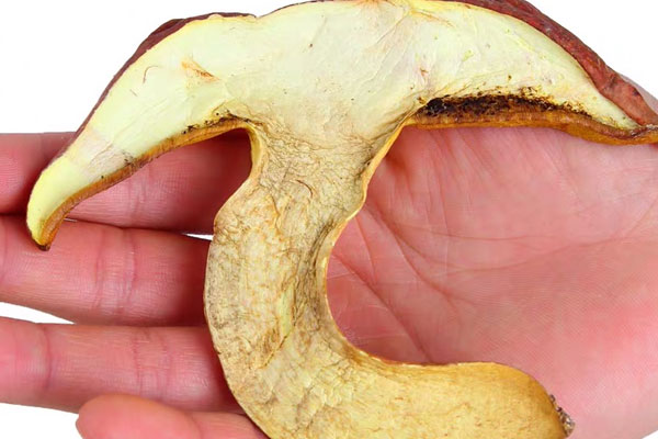 如何泡發(fā)干牛肝菌才最好