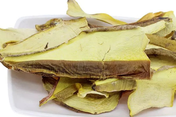 牛肝菌和什么煲湯最好