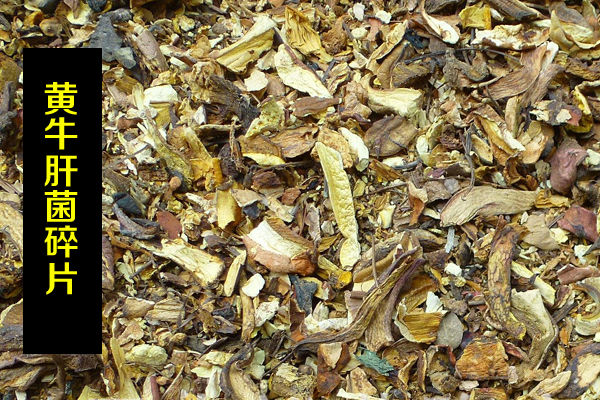 黃牛肝菌碎片價格