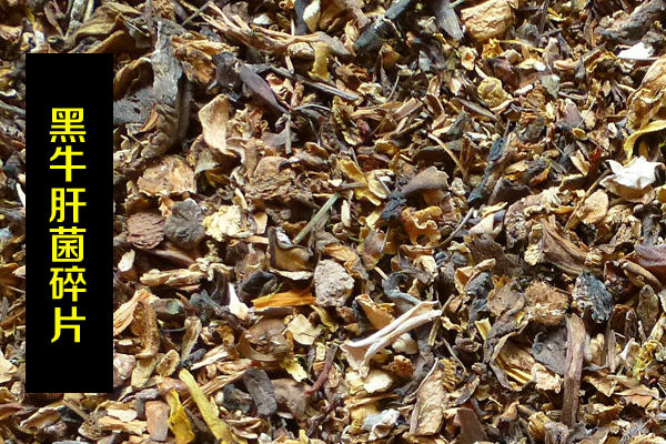 黑牛肝菌碎片價格