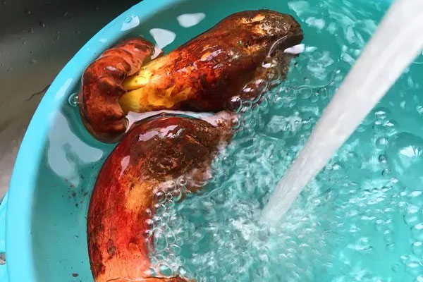 荷蘭豆涼拌牛肝菌的功效作用與營養(yǎng)價值