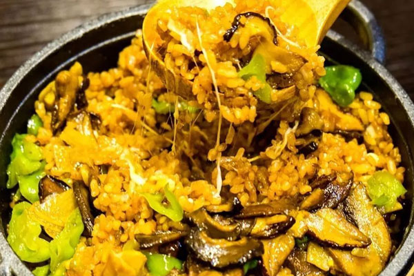 牛肝菌芝士焗飯的食用禁忌