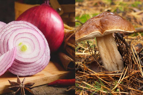 洋蔥可以和牛肝菌一起吃嗎