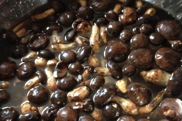 吃牛肝菌能起到降血壓的作用嗎