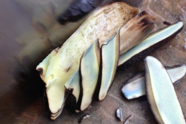 經(jīng)常吃牛肝菌可以降血壓嗎，和什么食物一起吃能降血壓