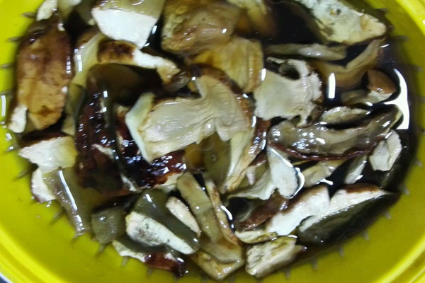 泡發(fā)后干牛肝菌的水能用來干什么