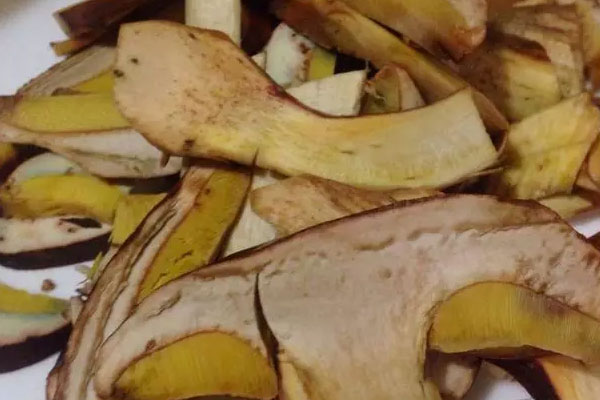 鯰魚燉牛肝菌的功效作用與營養(yǎng)價(jià)值