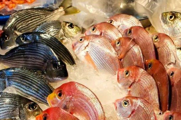 如何科學(xué)冷凍食物