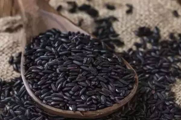 三高人群除了吃松茸還可以吃什么