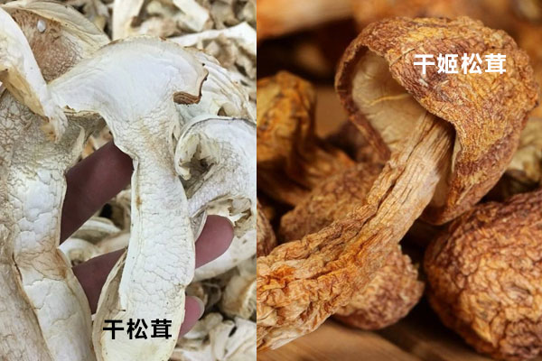 干松茸發(fā)白是霉變嗎，干松茸和干姬松茸的區(qū)別