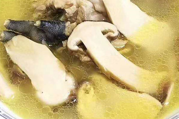 松茸和什么一起燉才最有營(yíng)養(yǎng)
