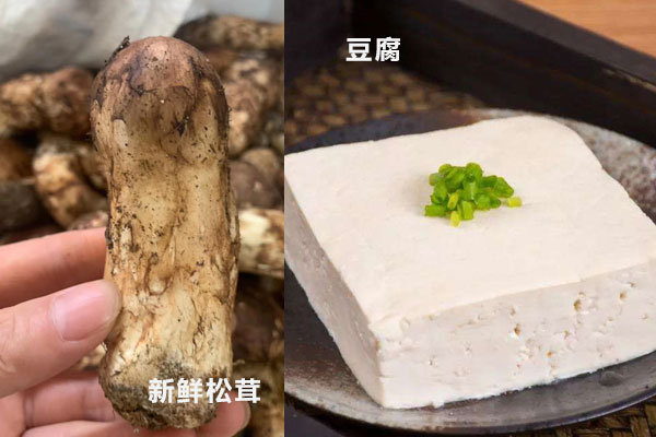 松茸能和豆腐一起燉嘛，新鮮的松茸能炒著吃嗎