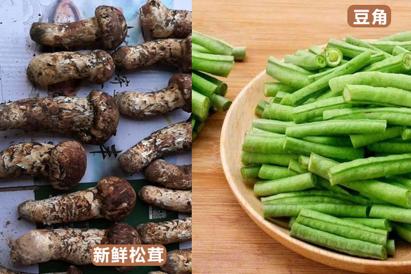 松茸和豌豆能一起燉嗎，松茸可以和豆角一起燉嗎