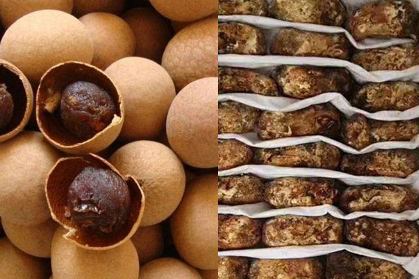 松茸可以和桂圓煲湯嗎