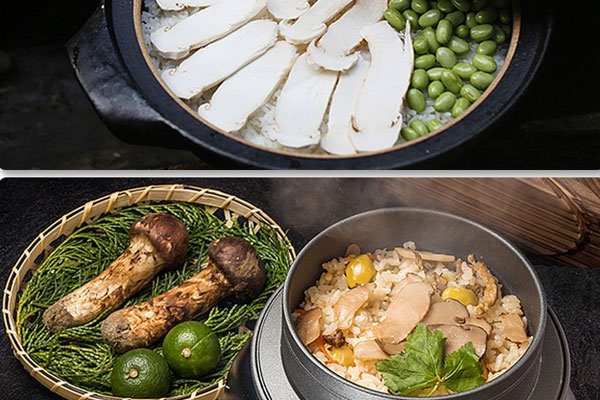 松茸泡一天一夜可以吃嗎 松茸泡一天一夜可以吃嗎