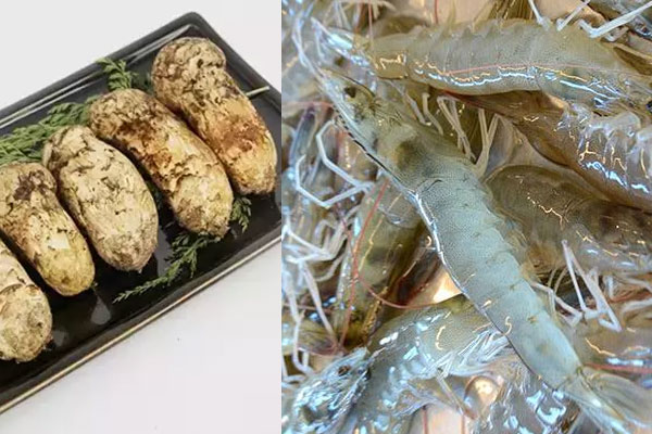 松茸和蝦仁能一起做燉湯嗎 松茸和蝦仁能一起做燉湯嗎