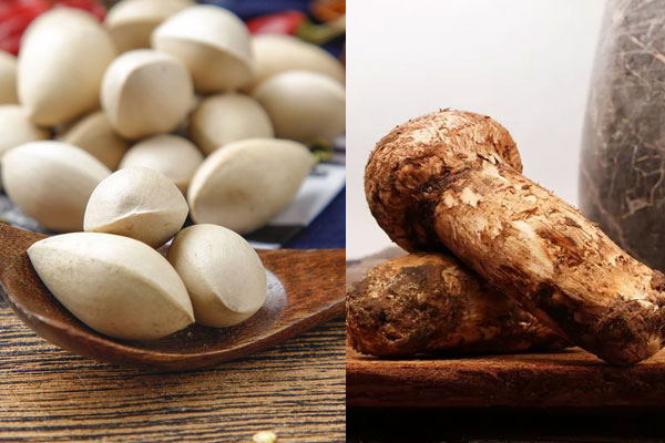 白果和松茸能一起燉雞嗎 白果和松茸能一起燉雞嗎