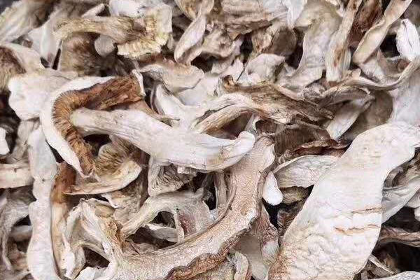 干松茸泡水一次放多少 干松茸泡水一次放多少