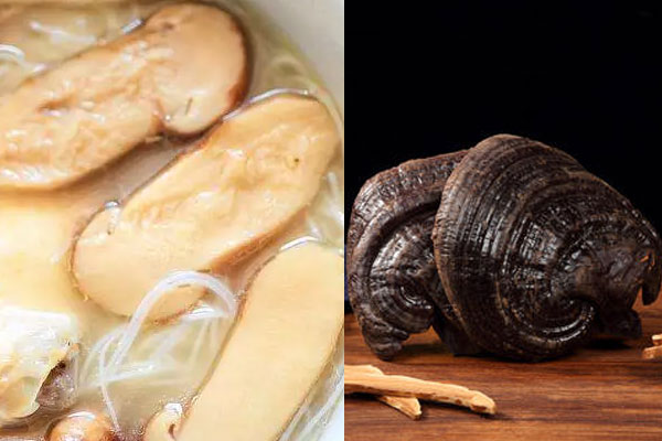 松茸與靈芝哪個(gè)抗癌功效好 松茸與靈芝哪個(gè)抗癌功效好