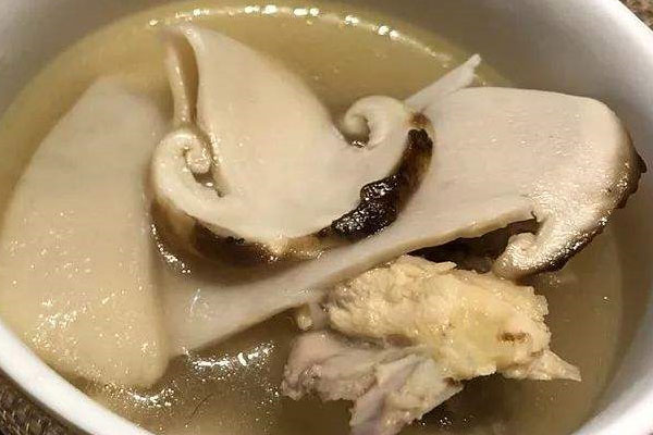 松茸鴿子湯不能放什么 松茸鴿子湯不能放什么