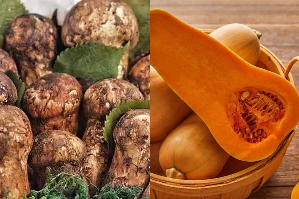 松茸能和南瓜一起吃嗎 松茸能和南瓜一起吃嗎