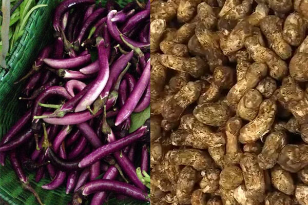 松茸可以和茄子一起吃嗎 松茸可以和茄子一起吃嗎