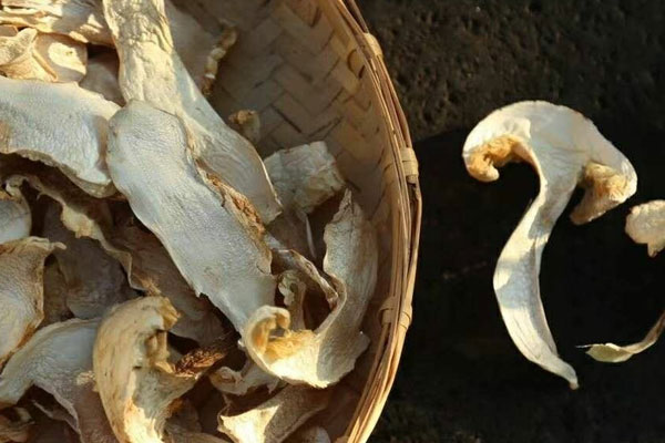 干松茸不泡發(fā)就燉雞可以嗎 干松茸不泡發(fā)就燉雞可以嗎