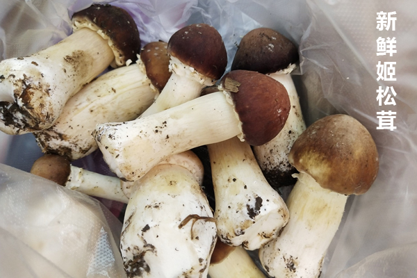 菜市場(chǎng)15塊一斤的松茸是啥 菜市場(chǎng)15塊一斤的松茸是啥