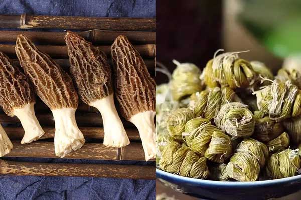 羊肚菌能和石斛一起燉湯嗎 羊肚菌能和石斛一起燉湯嗎