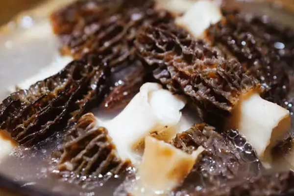 羊肚菌冬蟲夏草湯的禁忌人群 羊肚菌冬蟲夏草湯的禁忌人群