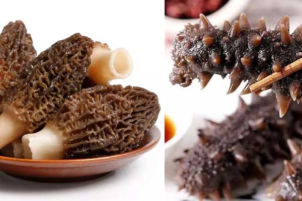 新鮮羊肚菌搭配海參怎么煮 新鮮羊肚菌搭配海參怎么煮