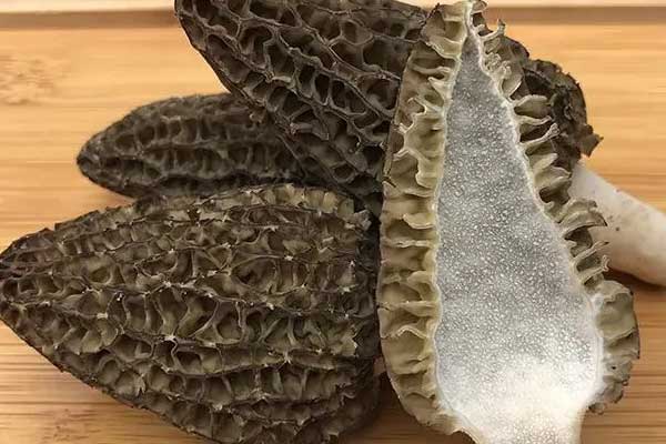 尿酸高的人可以吃羊肚菌嗎，豬肚燉羊肚菌可以吃嗎