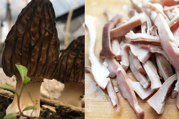 豬肚和羊肚菌可以一起吃嗎 豬肚和羊肚菌可以一起吃嗎