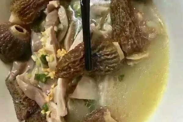 豬肚燉羊肚菌的功效作用與營養(yǎng)價值 豬肚燉羊肚菌的功效作用與營養(yǎng)價值