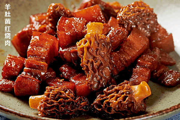 新鮮羊肚菌紅燒肉怎么做才好吃 新鮮羊肚菌紅燒肉怎么做才好吃