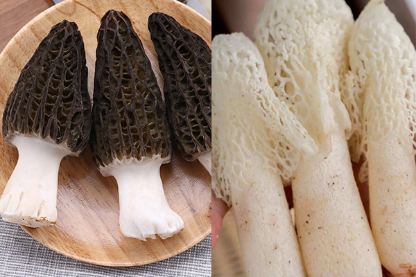 新鮮羊肚菌和竹蓀燉雞可以嗎，干羊肚菌可以放在冰箱保存嗎