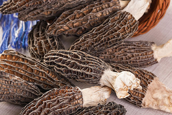 干羊肚菌能放在冰箱保存嗎 干羊肚菌能放在冰箱保存嗎