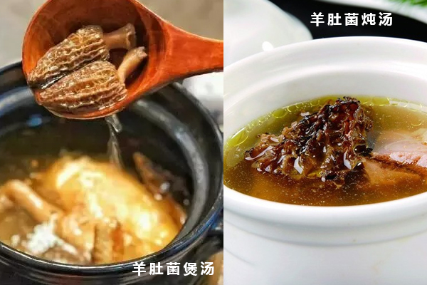 羊肚菌湯隔水燉好還是直接煲湯好，新鮮羊肚菌可以冷凍嗎