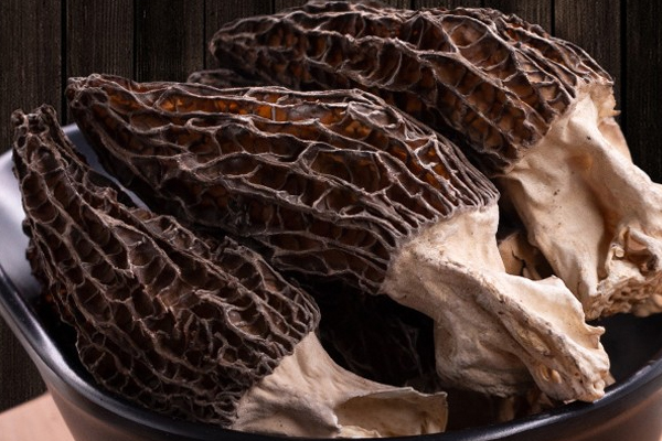 冰凍羊肚菌可以反復(fù)解凍、冰凍嗎，干羊肚菌可以曬太陽嗎