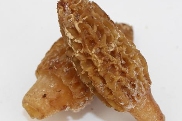羊肚菌冷凍一個月還能吃嗎，怎么分辨冷凍羊肚菌是否變質(zhì)